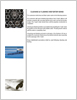 Cleaning & Flushing New Watermains